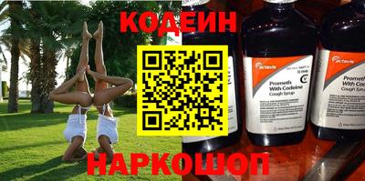 индика Пенза