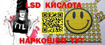 индика Пенза