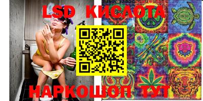 прущие грибы Первоуральск