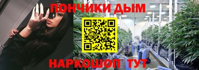индика Пенза