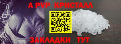 индика Пенза