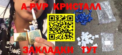 индика Пенза