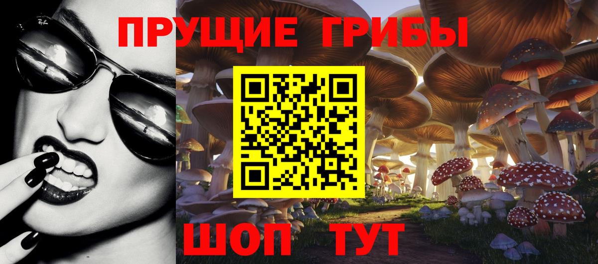 Галлюциногенные грибы GOLDEN TEACHER  Псилоцибиновые грибы GOLDEN TEACHER  хочу наркоту  Вход с VPN  Советск 