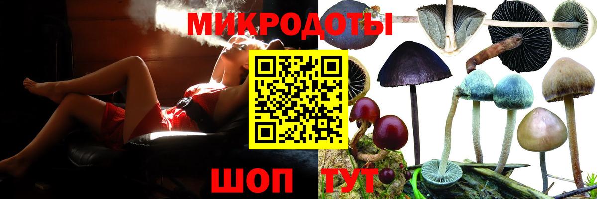 Псилоцибиновые грибы MAGIC MUSHROOMS Советск